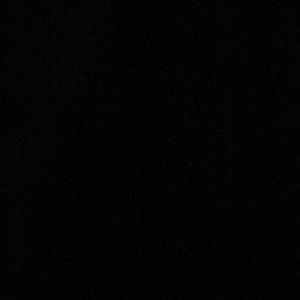 Meet your Posher, Leila